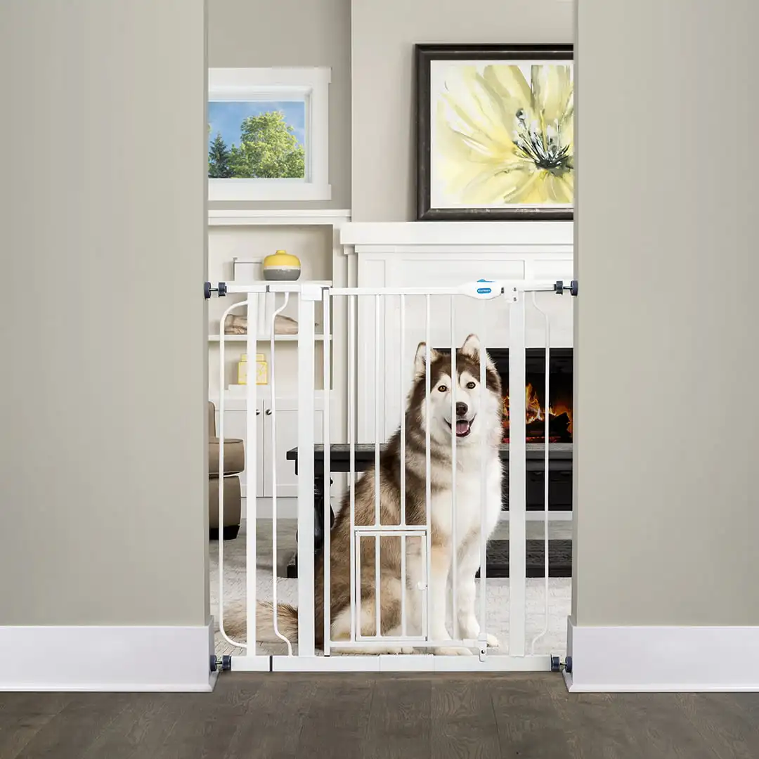Carlson Pet Products Сверхвысокие проходные ворота с дверцей меньшего размера, высотой 36 дюймов, шириной от 29 